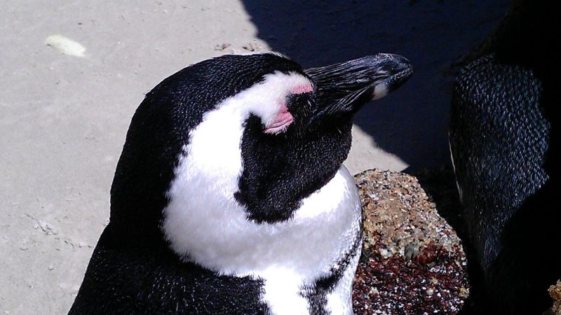 91cg.fun装之前先看清这几个数字